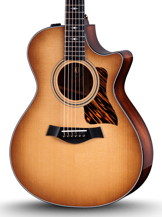 50th Anniversary GS Mini-e Rosewood SB Limited – Dave's